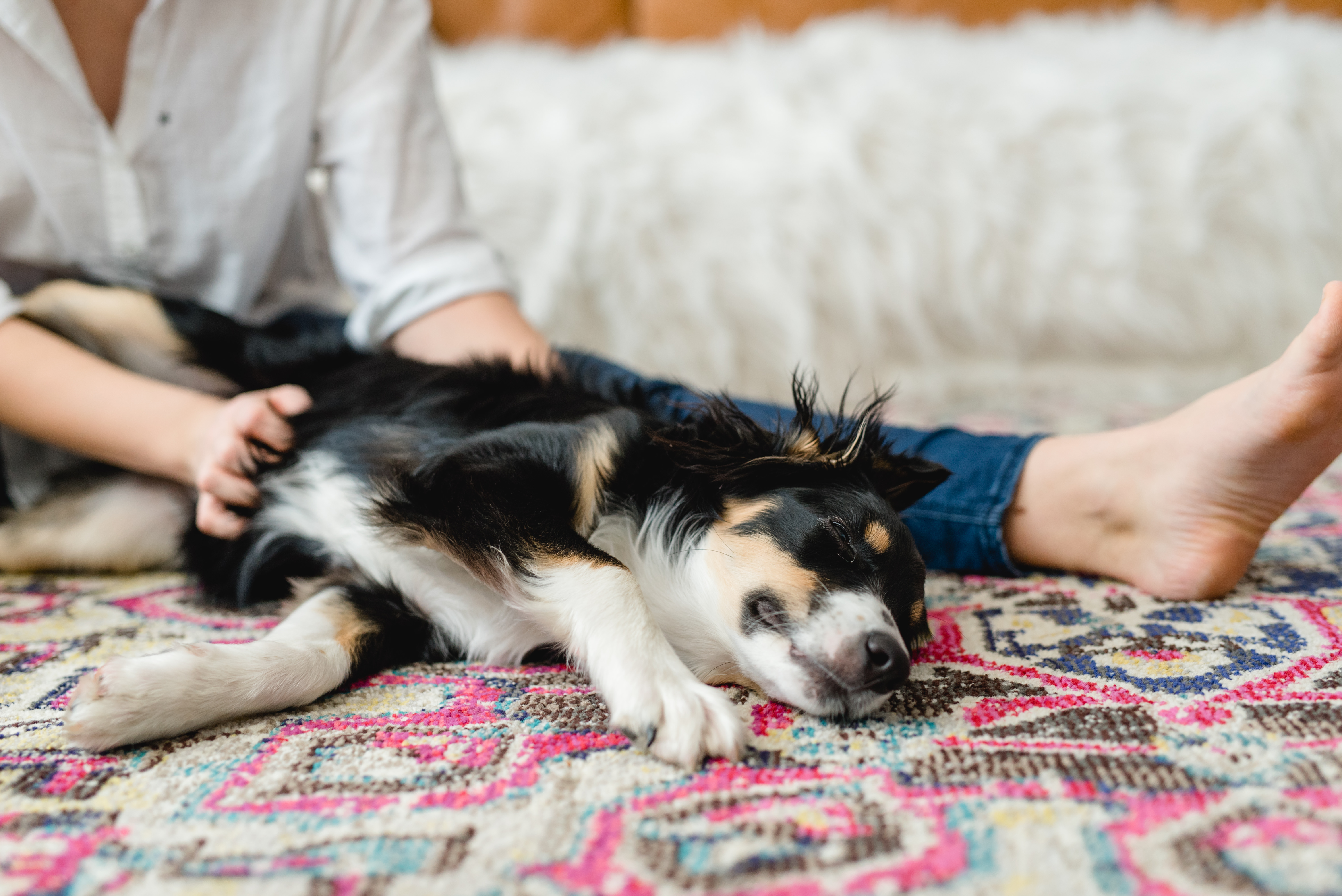 familie-kipper19-november-2016-146