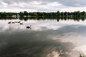 Fotowalk mit Kamera und Smartphone am Dechsendorfer Weiher